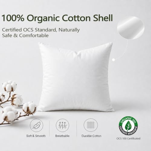 DWR Set of 2 Feather Down Throw Pillow Inserts 12x20 with Organic Cotton Cover, Feather Rectangular White Decorative Pillow Inserts for Bed, Sofa, and Couch