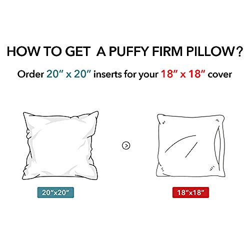 Oubonun 20 x 20 Throw Pillow Inserts (Set of 2) with 100% Cotton Cover - 20 Inch Square Interior Decorative Sofa Pillow Insert Pair - White Couch Pillow