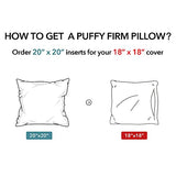 Oubonun 20 x 20 Throw Pillow Inserts (Set of 2) with 100% Cotton Cover - 20 Inch Square Interior Decorative Sofa Pillow Insert Pair - White Couch Pillow