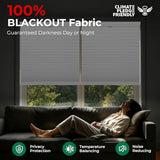 Allesin Top Down Bottom Up Cellular Shades,Blackout Blinds Noise Reduction,Cordless Cellular Shades Room Darkening Honeycomb Blinds,Blackout (White,27"x64")
