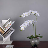 Fnize Orchid Stems Artificial Flowers Real Touch Latex Faux Phalaenopsis Branches 9 Large Blooms 38 Inches 2pcs White