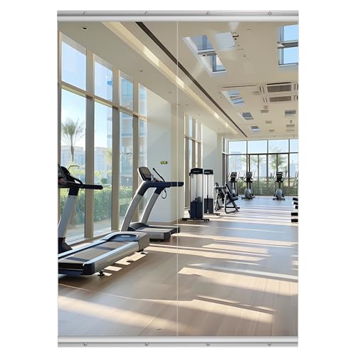 Hasipu 71" x 24" Led Mirror Full Length Home Gym Mirror 55"x21"(Each)-2 PCS
