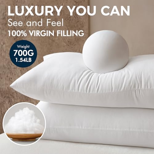 MIULEE 20x26 Throw Pillows Inserts 2 Pack, Decorative Pillows for Couch Bed