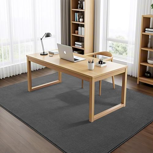 Vasofe Grey Rug for Bedroom Living Room, 4x6 Area Rugs, Modern Washable Rug