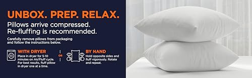 Amazon Basics Square Hypoallergenic Down Alternative Pillow Insert, Machine Washable, Softness and Support, 20 inch, 2-Pack