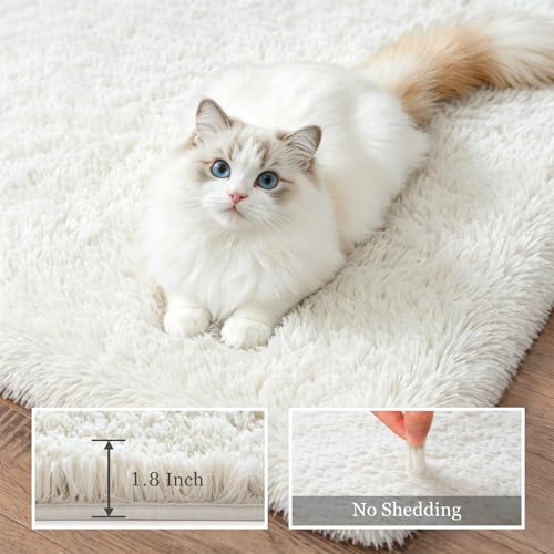 Area Rug Living Room Bedroom: 4x6 Fluffy Plush Shag Carpet Ivory