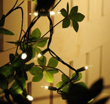 50-Count Clear Christmas Light Set