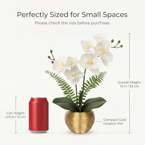 Briful Artificial Orchid Flowers in Gold Ceramic Pot, 13" Small White Faux Phalaenopsis Orchid Floral Arrangement Fake Silk Orchid for Bathroom Vanity Office Desk Shelf Nightstand Home Table Decor