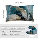 Throw Pillow Covers for Couch, 20x12 Inch, 2 Pack, Black Teal