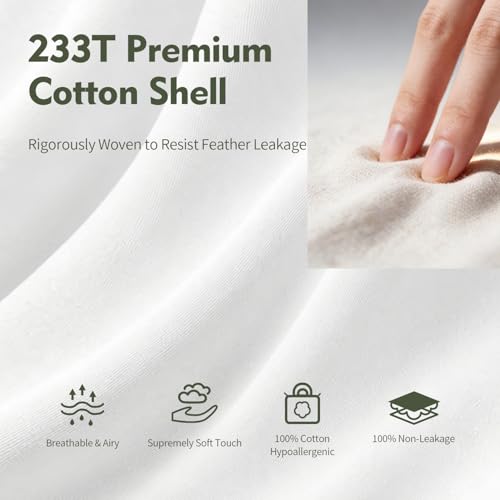 14"x24" Pillow Inserts Soft Feather Pillow Set of 1 Indoor Decorative Sofa Down Pillows Bed Pillows Couch Pillow