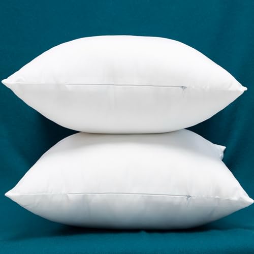 Set of 2 Cotton Fabric Plump Throw Pillow Inserts, Down Alternative Decorative Couch Cushion Cover Filler, 18 X 18 Inches