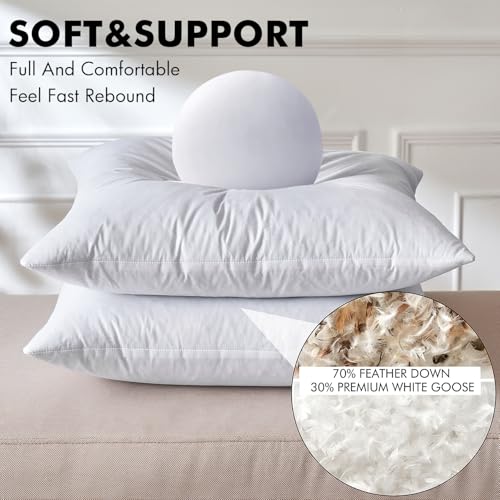 MIULEE 20 x 20 Goose Feather Down Pillows with 100% Cotton Cover, Set of 2 Soft Fluffy Decorative Pillow Inserts for Sofa Bed Couch Living Room White