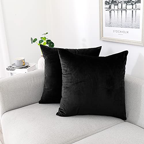 NiNi ALL Throw Pillow Covers 18x18 Inch, Pack of 2 - Black Velvet Decorative Cases for Outdoor Garden Farmhouse Cushion Caes Modern HomeDecor for Sofa Bed Chair