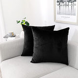 NiNi ALL Throw Pillow Covers 18x18 Inch, Pack of 2 - Black Velvet Decorative Cases for Outdoor Garden Farmhouse Cushion Caes Modern HomeDecor for Sofa Bed Chair