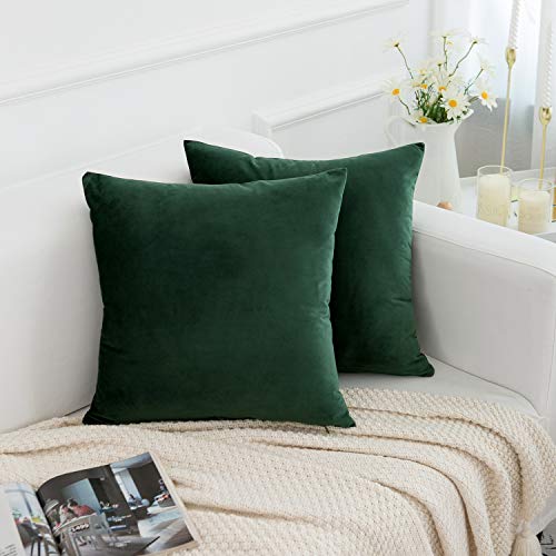 RainRoad Dark Green Decorative Throw Pillow Covers Cushion Cover Pillow Case for Sofa Couch Bed Chair,Soft Square Dark Green Throw Pillows 18x18 Inch,Set of 2