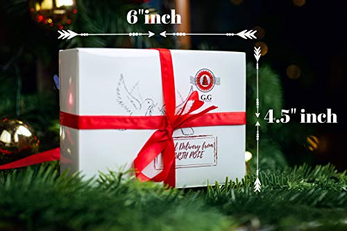 G&G Style Friendship Doves - Home Alone 2 Resin Christmas Ornament Set of Two Doves - Best Gift for Someone Special - Small