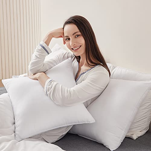 Qeils 24 x 24 Soft Polyester Cover Pillow Inserts Set of 2 - White Rectangle Square Decorative Pillow Inserts for Couch & Sofa