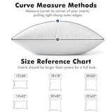 MIULEE 20 x 20 Goose Feather Down Pillows with 100% Cotton Cover, Set of 2 Soft Fluffy Decorative Pillow Inserts for Sofa Bed Couch Living Room White