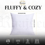 18x18 Pillow Inserts Set of 2 , Soft Hypoallergenic Down Alternative Throw Pillow Inserts 18 X 18 , Throw Pillows for Couch, Sofa Pillow Filling Stuffing for Decorative Covers, Pillow Forms 18x18