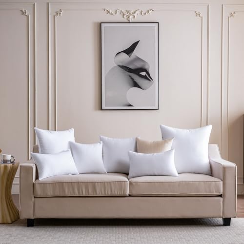 12 x 20 Pillow Insert Set of 2 Down Alternative Throw Pillow Inserts Small Lumbar Decorative Pillow White Rectangle Pillows Stuffing for Living Room Couch Bed Sofa Interior Cushions