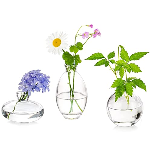 Glass Bud Vases Set of 3, Hewory Cute Clear Small Vases Handmade, Mini Glass Flower Vase for Floral Arrangement, Tiny Centerpiece for Wedding Party Events Home Office Table Decor (Not Include Flower)