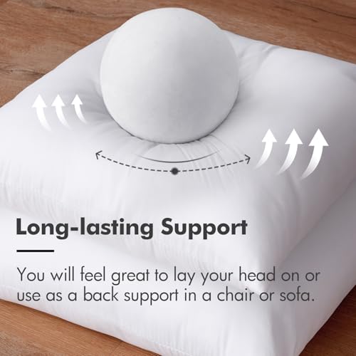 MIULEE 22x22 Inch Throw Pillow Insert for Couch Sofa Bed
