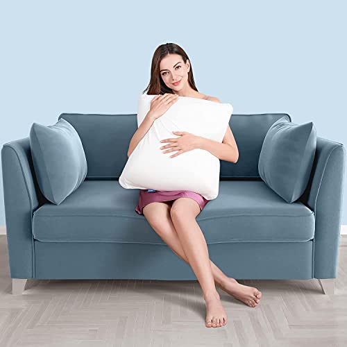 AM AEROMAX 12 × 20 Throw Pillow Memory Foam Pillow Insert - Rectangular Lumbar Support Pillow for Decorative Cushion Bed Couch Sofa - Non-Deforming Over Time