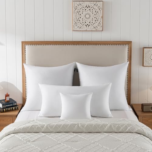 basic home® Hotel-Style 26x26 Goose Feather Down Euro Pillow Insert for Sofa & Bed - 100% Odorless & Plump Cushion Filler - 233TC Cotton with Inner Liner to Prevent Poking (26x26 Inch)