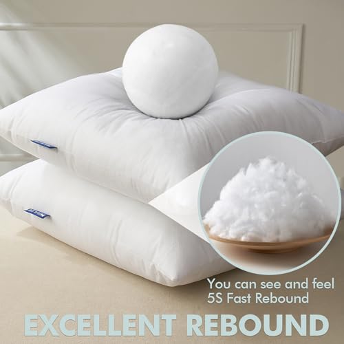 MIULEE Pillow Insert 20x20 Inch Set of 2 Decorative Throw Pillow Inserts