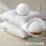 MIULEE Pillow Insert 20x20 Inch Set of 2 Decorative Throw Pillow Inserts