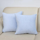 2 Packs Neutral Decorative Throw Pillow for Living Room Couch Bed Sofa,Soft & Comfortable Fulffy Filling (Baby Blue, 20x20 Inches)