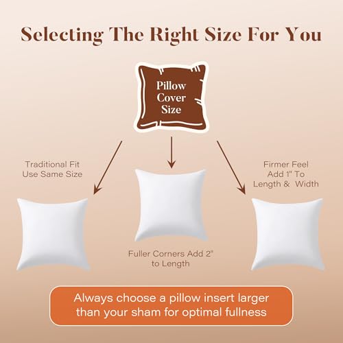 DOWNSTORIA 24x24 Euro Pillow Inserts Pack of 2, Decorative Feather Down Pillows with 100% Coton Cover,Throw Pillow for Bed, Couch and Sofa.