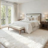 5x7 Fluffy Shag Area Rugs for Living Room Bedroom: Soft Plush Carpet White