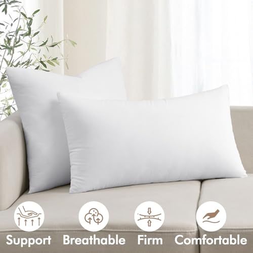 MIULEE 16x20 Inch Premium Lumbar Throw Pillow for Bed Sofa Couch