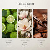 Scentiment Tropical Resort Diffuser Oil - Premium Hotel Scent with Notes of Bergamot, Magnolia & Oud Home Scent, Hotel Fragrance Oil Diffuser Refill - 0.68 fl oz (20 mL)