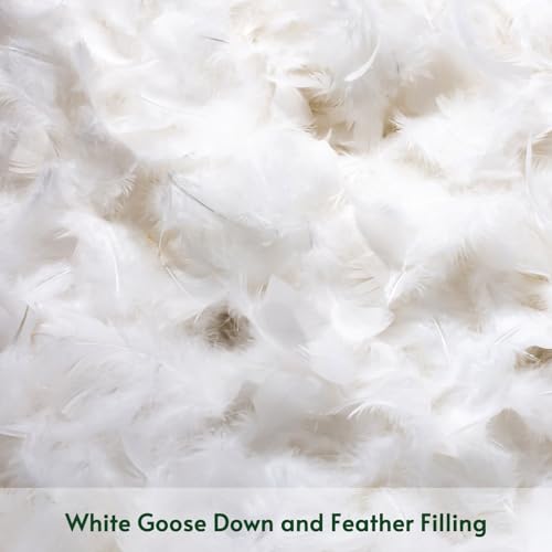 OTOSTAR Pack of 2 Down and Feather Throw Pillow Inserts, 28 x 28 Soft Fluffy Square Pillow Inserts with 100% Cotton Cover Decorative Pillows for Sofa Couch Bed-White