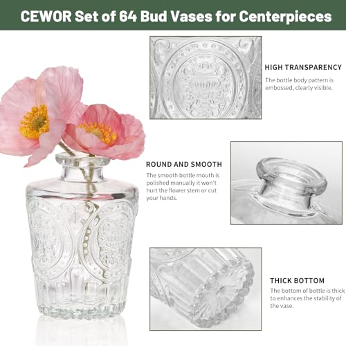 CEWOR Glass Bud Vases in Bulk, Set of 64 Small Vases for Centerpieces, Flower Vases for Flowers in Bulk for Rustic Wedding Home Table Decorations