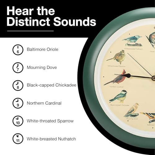Mark Feldstein, The Original Singing Bird Wall Clock, 13 Inch, Green