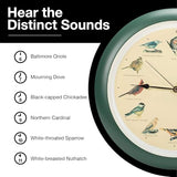 Mark Feldstein, The Original Singing Bird Wall Clock, 13 Inch, Green