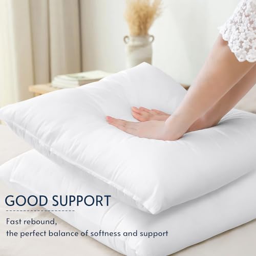 OTOSTAR Set of 4 Pillow Inserts 20x20 Inch, Decorative Square Throw Pillow Inserts, Premium Fluffy Pillow Forms Sham Stuffer for Sofa Bed Couch Living Room- Indoor