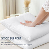 OTOSTAR Set of 4 Pillow Inserts 20x20 Inch, Decorative Square Throw Pillow Inserts, Premium Fluffy Pillow Forms Sham Stuffer for Sofa Bed Couch Living Room- Indoor