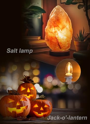 Set of 4 Accessory Cord with One Led Light Bulb 6Ft Blow Mold Light IndoorString Lights, C7 Lamp with Spare Fuse for Halloween and Christmas Decorations, Craft Village House Decoration