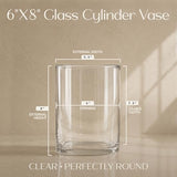 Royal Imports Flower Glass Vase Decorative Centerpiece for Home or Wedding - Cylinder Shape, 8" Tall, 6" Opening, Clear