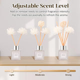 Reed Diffuser Set of 2, Freesia Scent Oil Diffuser with Sticks for Home Fragrance, Office Living Bedroom Decoration, Bathroom Decor and Accessories, Air Fresheners Gift Set, 1.7 fl oz/50ml x 2