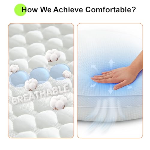 24x24 Pillows Inserts Set of 2, Throw Pillows 24 Inch Premium Down Alternative Pillow Inserts, 24 by 24 Square Premium Cushion with 100% Cotton Cover for Bed, Sofa, Couch