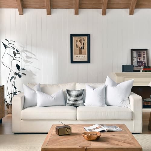 basic home® Hotel-Style 26x26 Goose Feather Down Euro Pillow Insert for Sofa & Bed - 100% Odorless & Plump Cushion Filler - 233TC Cotton with Inner Liner to Prevent Poking (26x26 Inch)