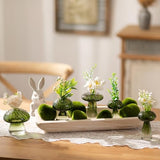 Hanobe Solid Wooden Decorative Bowl for Coffee Table Entryway Decor, White