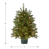 National Tree Company 3 ft Pre-Lit Hampton Spruce Mini Artificial Christmas Tree, 100 Clear Lights, 579 Tips, Green Growers Pot