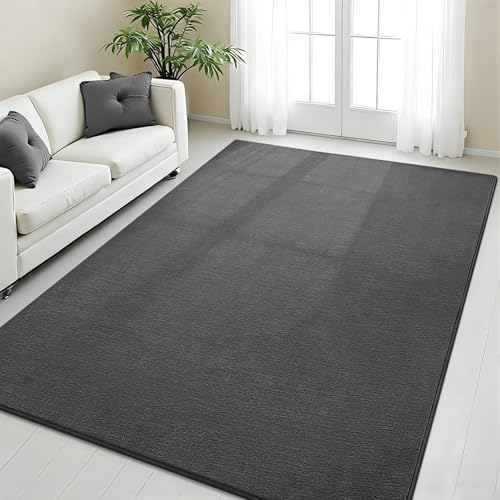 Vasofe Grey Rug for Bedroom Living Room, 4x6 Area Rugs, Modern Washable Rug