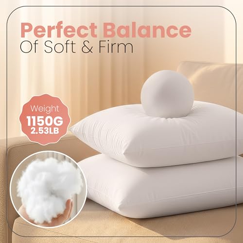 Utopia Bedding 28x28 Pillow Inserts, White Throw Pillows for Couch, 2 Pack